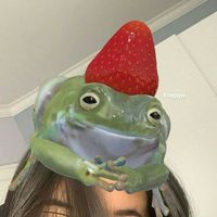 avoirabeilz