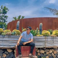 nhạc nền - VN TRAVEL