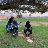 original sound - molhamfauor