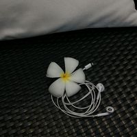 เสียงต้นฉบับ - ๑๔