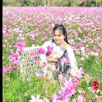 မူရင်းအသံ - Ďãŵ Žĩñ Møě Øø