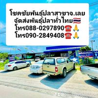 เสียงต้นฉบับ - โชคชัยพันธุ์ปลาสาขาจ.เลย
