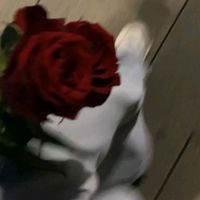 account._1329