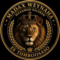 tiimboosaaso2