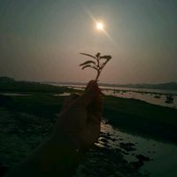 saikatray5377