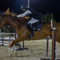 an_h1134