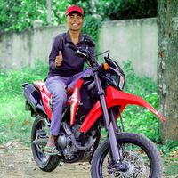 yorkfarm99