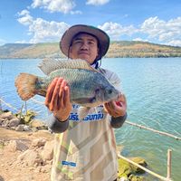 เสียงต้นฉบับ - 🎣🪝เชนขอเดียว🪝🎣