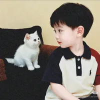 original sound - www.mhemseik