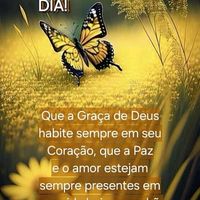 seguindoseguidores30