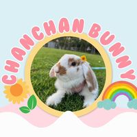 chanchan_bunny