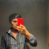 peregrino651