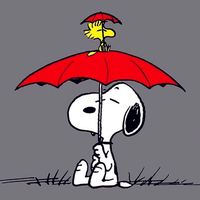 เสียงต้นฉบับ - ฟิวส์🦁