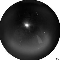 オリジナル楽曲 - 萌 香