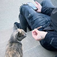 оригинальный звук