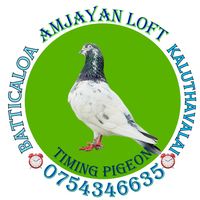 amjayan_loft
