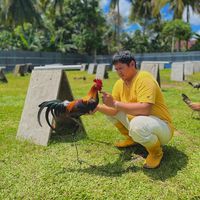 suara asli - Madimkfarm