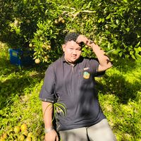 เสียงต้นฉบับ - ต้นข้าว OFFICIAL