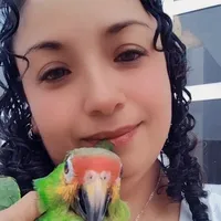 original sound - risitasgarcia1