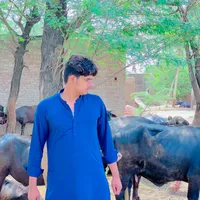 original sound - mahadali7950