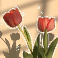 liz389307