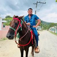 jose.vindel08