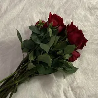 original sound - wo.h7