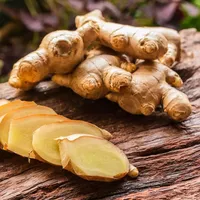 original sound - cheickoumarn01