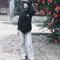 hpnay4