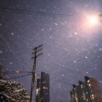 오리지널 사운드 - 하백🤟