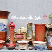 nhạc nền - chaubonsai_vietnam