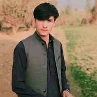 sherazkokok804
