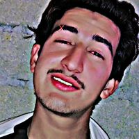 shehramkhan113