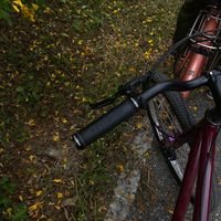 เสียงต้นฉบับ - pohon kelapa "