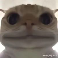 teakill57