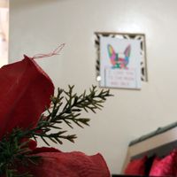 original sound - tejay