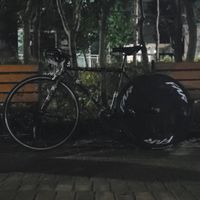오리지널 사운드 - 태장영애