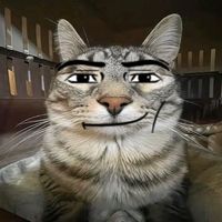 dan_te_zz