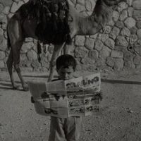 الصوت الأصلي