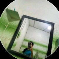 ysabella_23vale