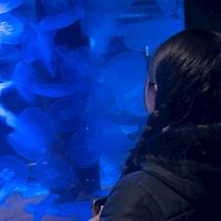 オリジナル楽曲 - マウ(  ̅᷄꒫ ̅᷅ )ྀི