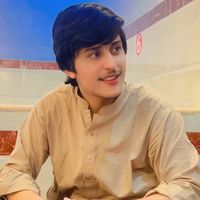 hamid...malik