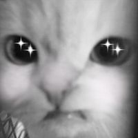 オリジナル楽曲 - ふに