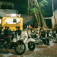 suara asli - nov