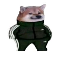 hrnsmst