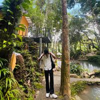 kochitaung433