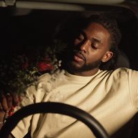 yvnnico