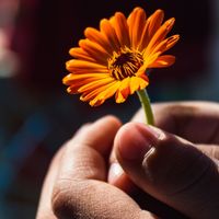 nhạc nền - PHẬT PHÁP NHIỆM MÀU 🙏🙏🙏