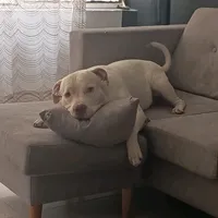 original sound - dianacarolinaleon0