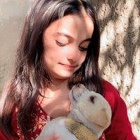 eraj.manzoor